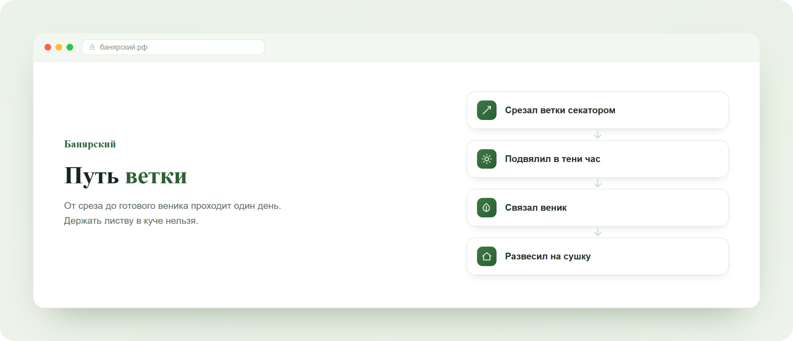 Порядок заготовки березового веника от срезки до сушки, схема Банярский