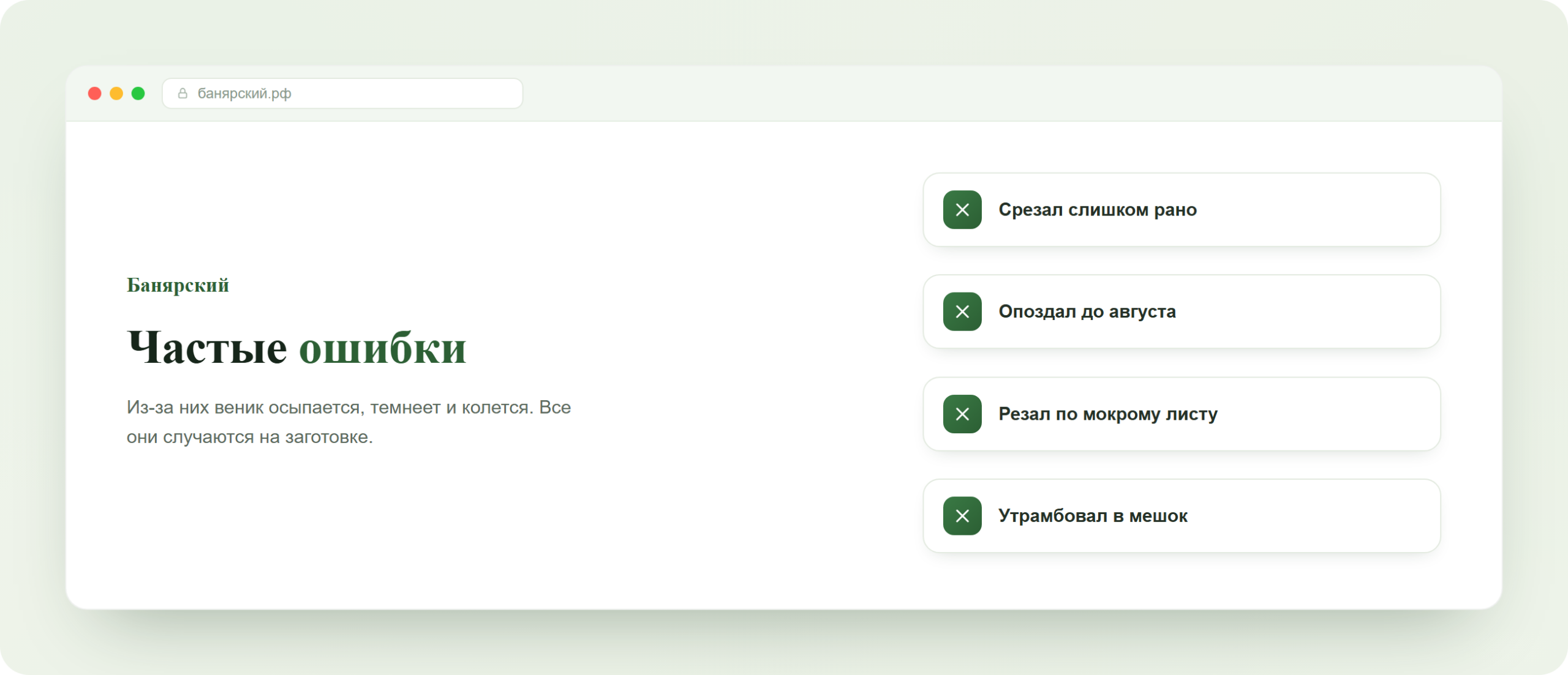 Частые ошибки при заготовке березовых веников, схема Банярский