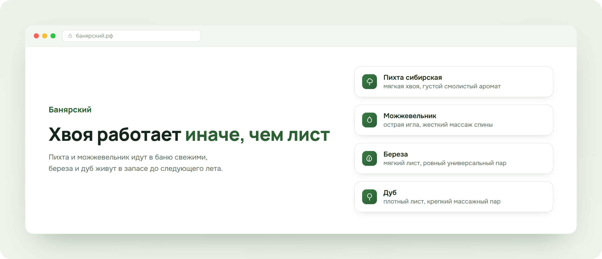 Сравнение пихтового и можжевелового веника с березовым и дубовым, схема Банярский