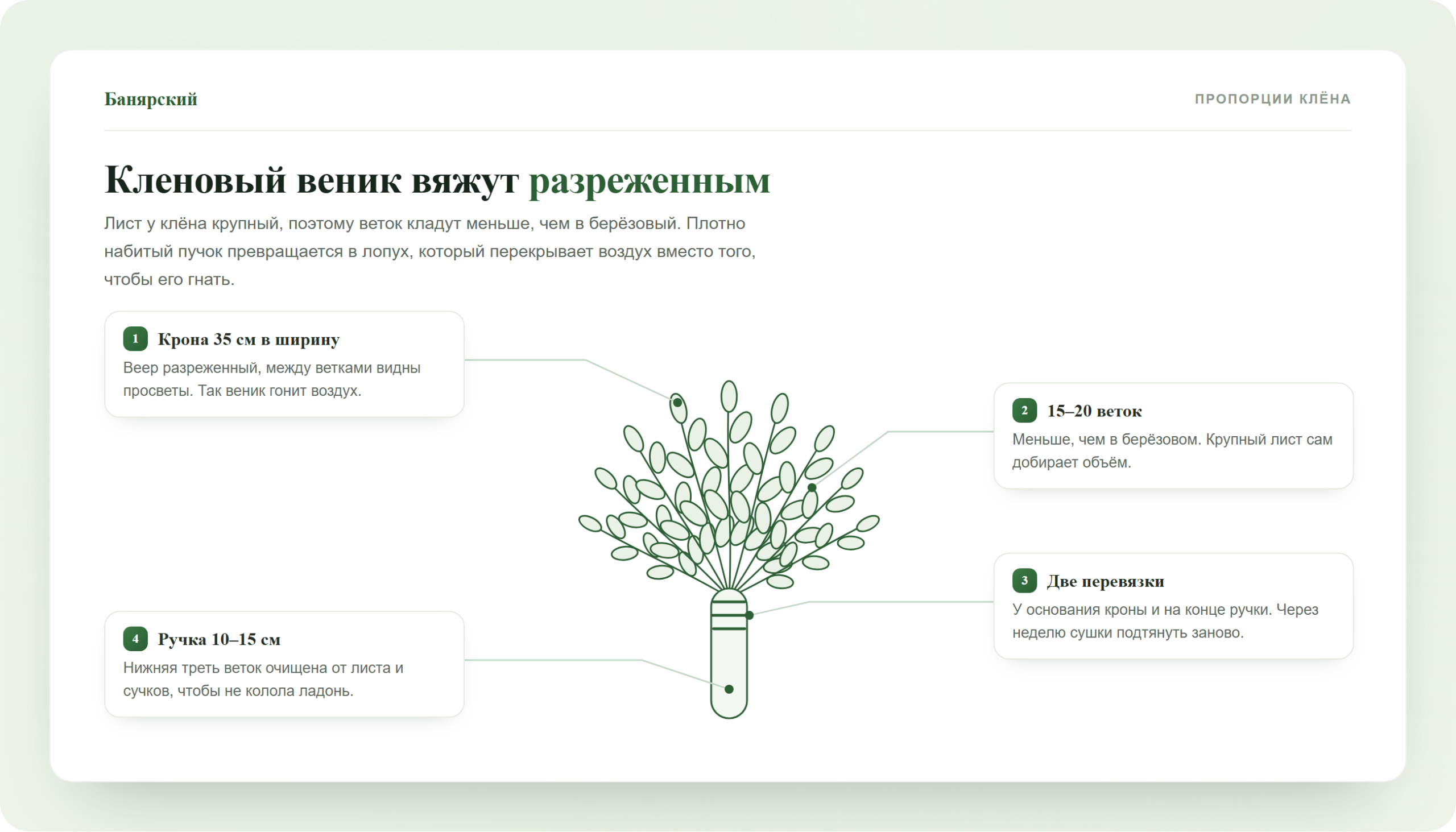 Устройство правильного кленового веника для бани, схема Банярский
