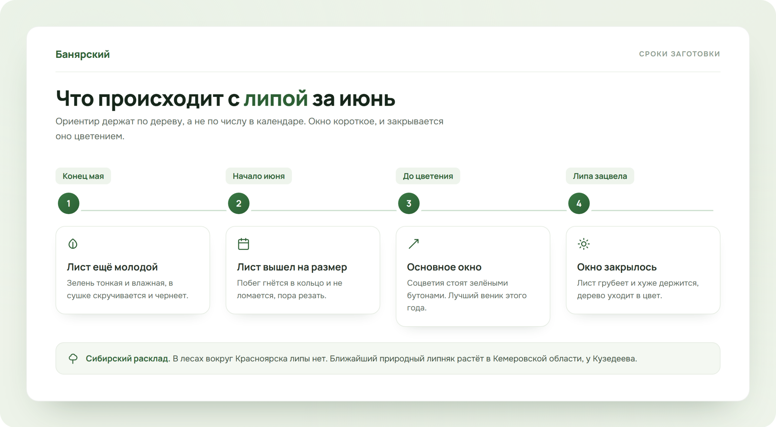 Сроки заготовки липовых веников в июне, схема Банярский