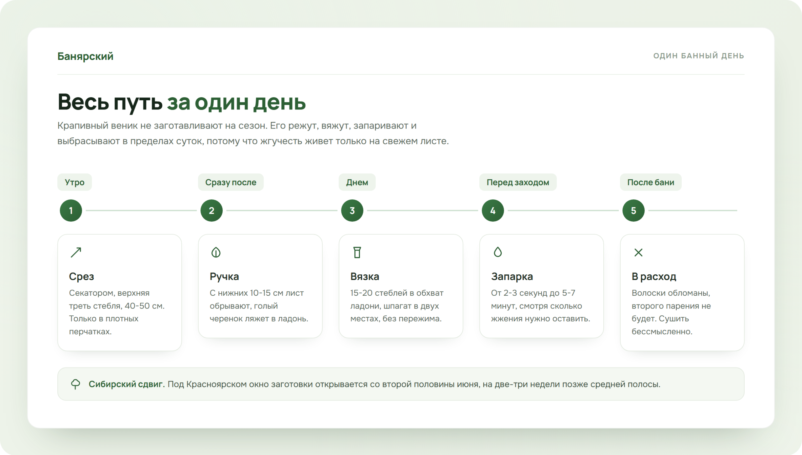 Пять шагов от среза крапивы до парной, схема Банярский