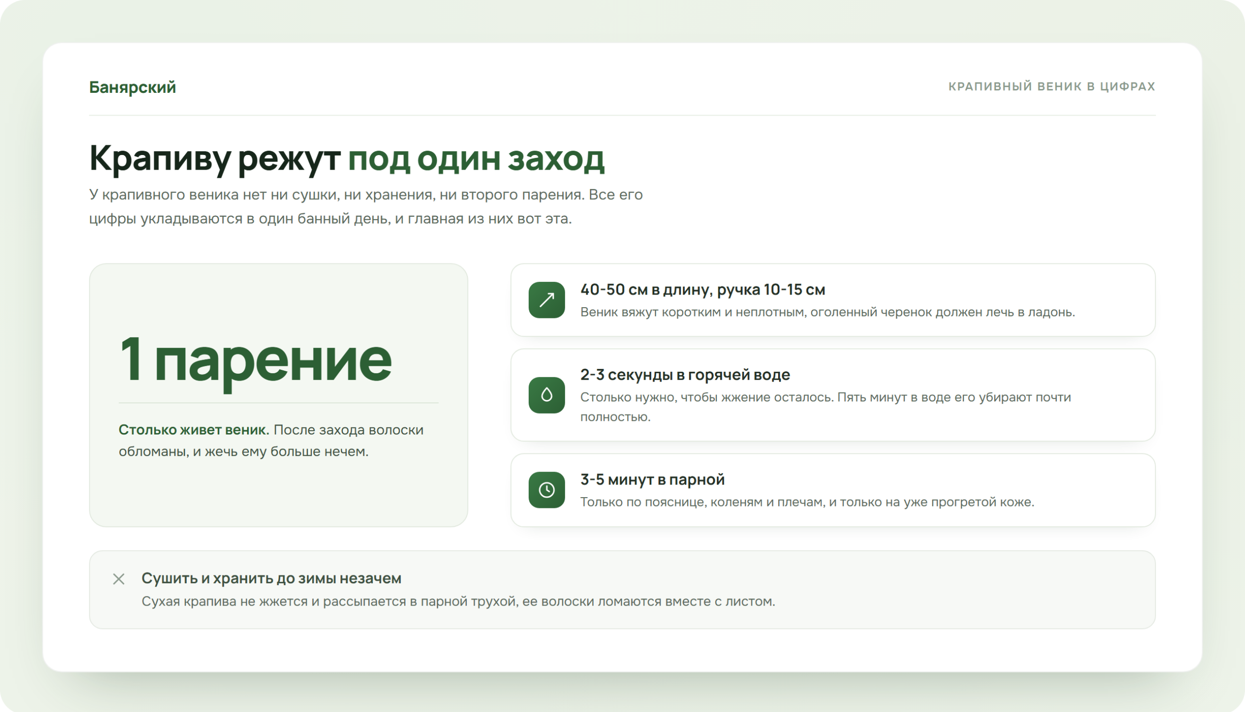 Крапивный веник в цифрах, длина, ручка, время запаривания и число парений, схема Банярский