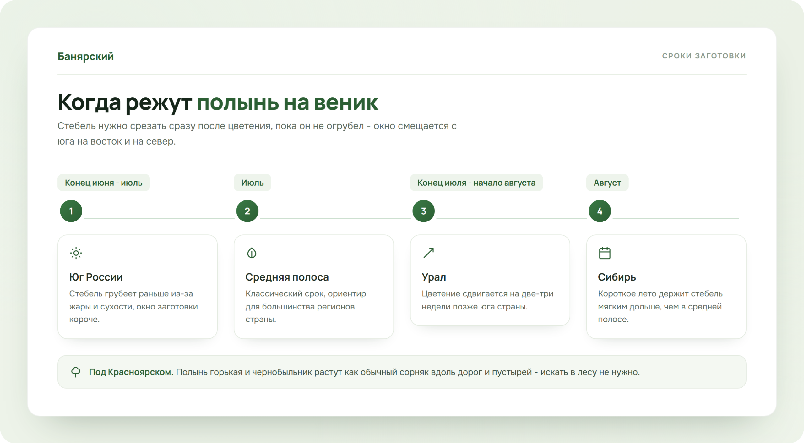 Календарь заготовки полыни для веника по регионам, схема Банярский